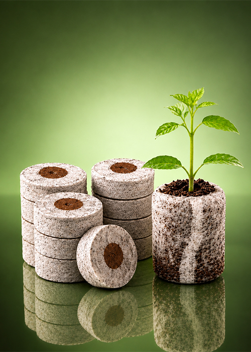 Seedling Pellets