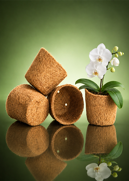Coco Pots