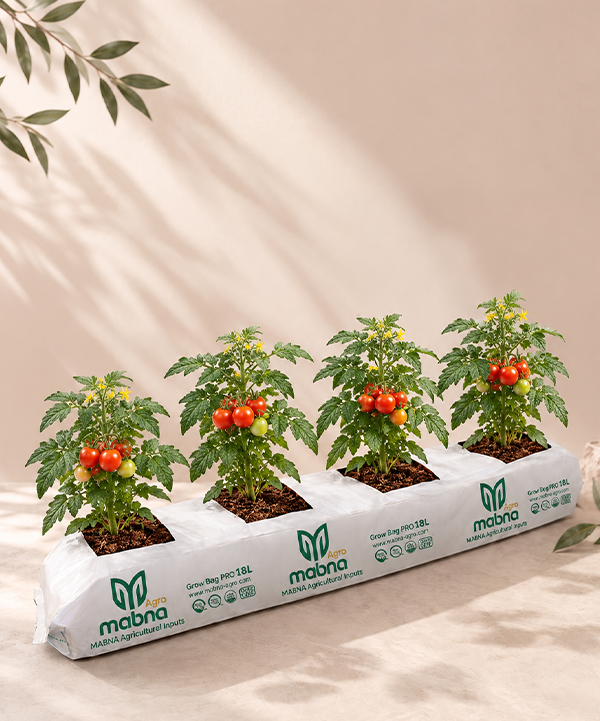 Grow Bags