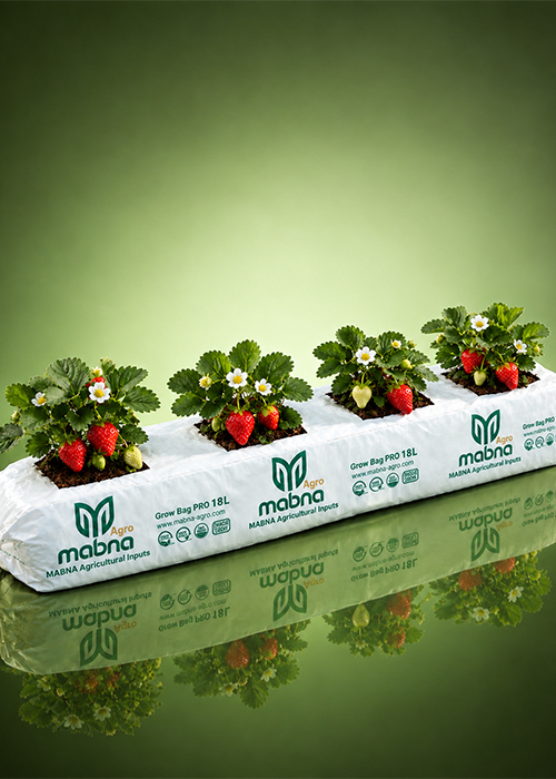 Grow Bags