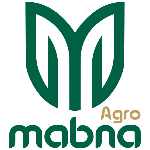 cropped-cropped-logo2.png