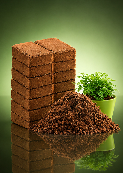 Bricks