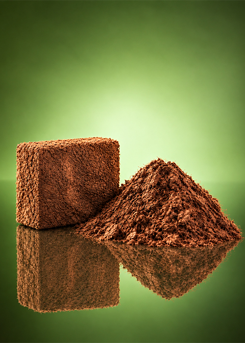 Husk Chips Blocks