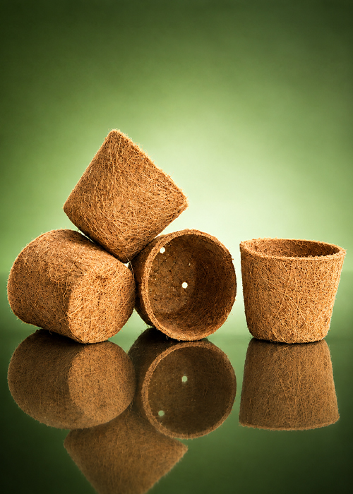 Coco Pots