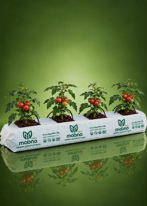 Grow Bags