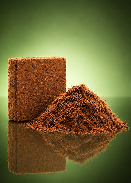 Cocopeat Blocks